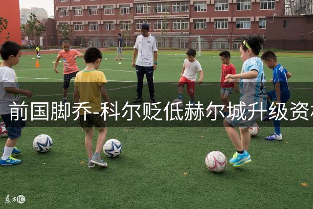 前国脚乔-科尔贬低赫尔城升级资格引众怒